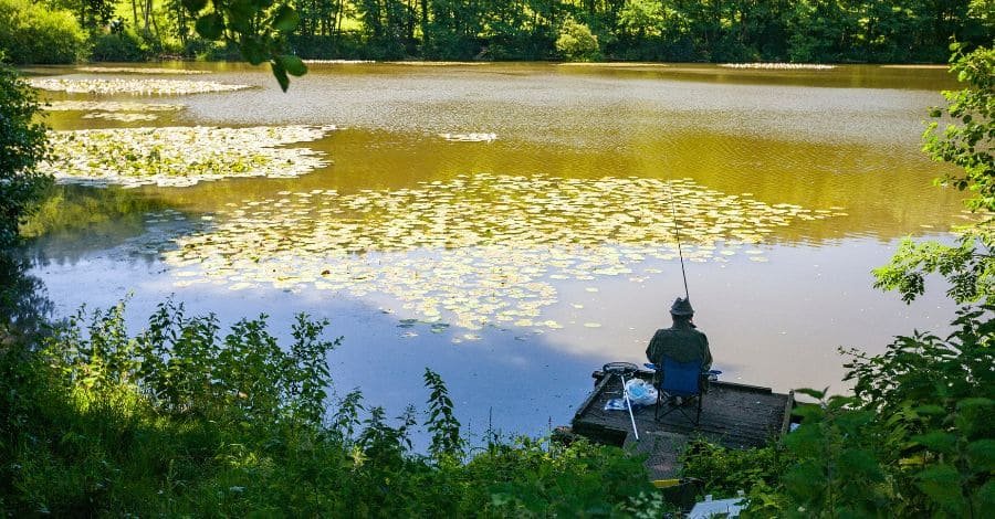 Pesca esportiva e preservação ambiental