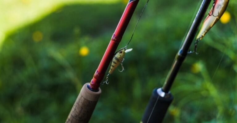 vara de pesca para iniciante
