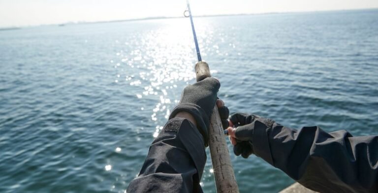 Carretilhas de Pesca Maruri
